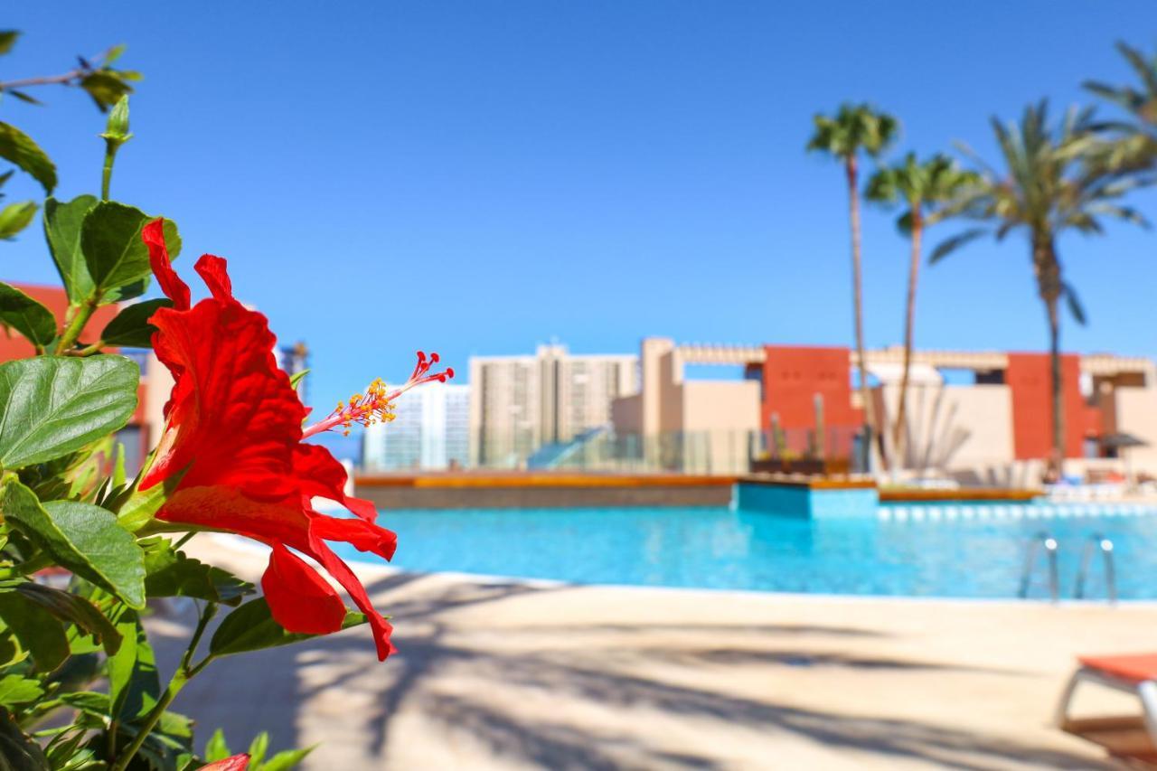 פלאיה פראיסו Chill In Paradise מראה חיצוני תמונה